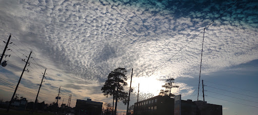 Grocery Store «H-E-B Grocery», reviews and photos, 3601 FM 1488, The Woodlands, TX 77384, USA