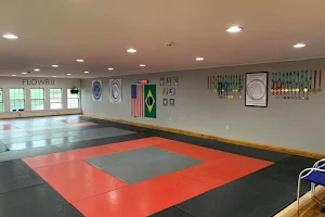 Flow Brazilian Jiu-Jitsu image