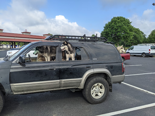 Hardware Store «Country Living Ace Hdwe», reviews and photos, 4336 Cornelia Hwy, Lula, GA 30554, USA