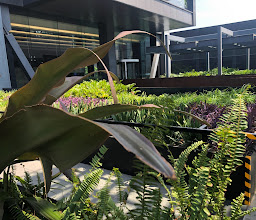 Midtown Jalisco photo