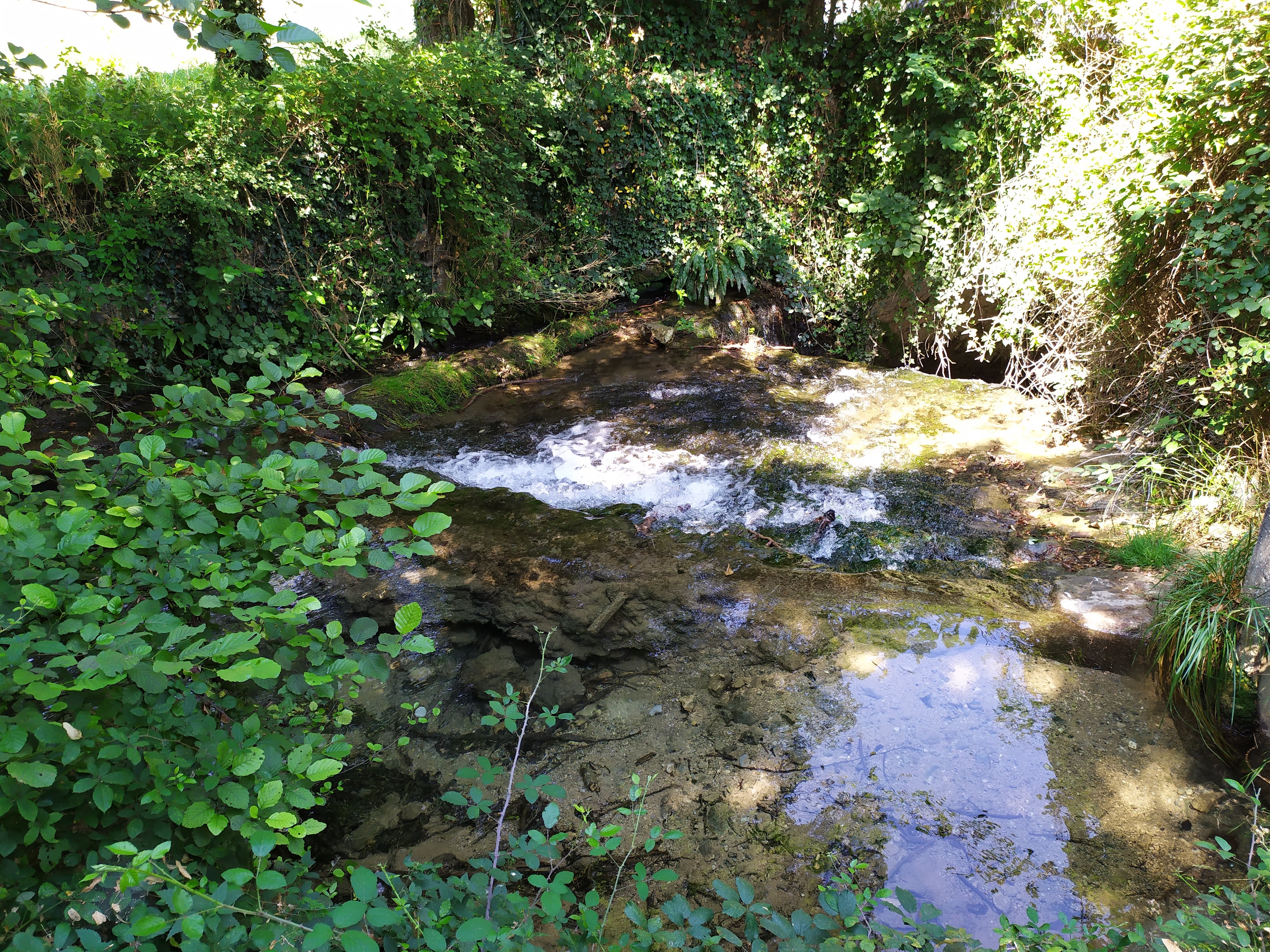 Photo n° 9 de l'avis de Ghisam.e fait le 21/07/2020 à 12:54