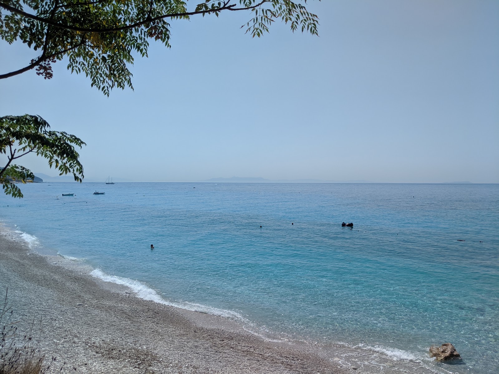 Φωτογραφία του Palasa beach παροχές περιοχής