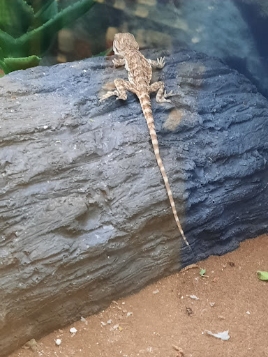 Pet Supply Store «Petco Animal Supplies», reviews and photos, 1574 N Dupont Hwy #300, Dover, DE 19901, USA