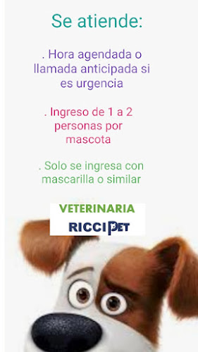 Veterinaria Riccipet - Veterinario