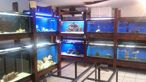 Pet Supply Store «Niagara Aquarium Co Inc», reviews and photos, 1345 Military Rd, Buffalo, NY 14217, USA