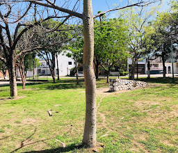 la independencia Park photo