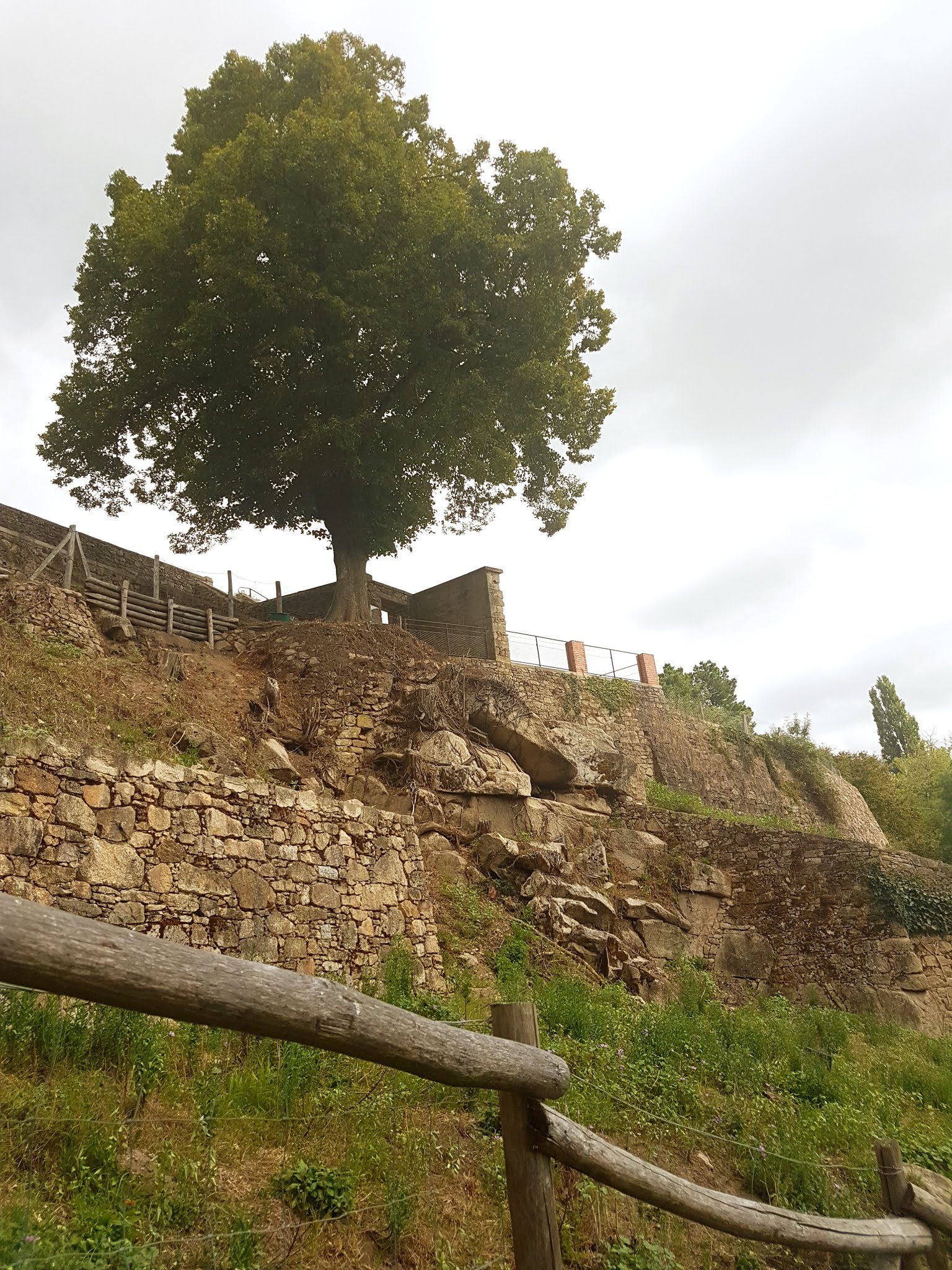 Photo n° 28 de l'avis de Nicolas.e fait le 28/09/2019 à 18:38