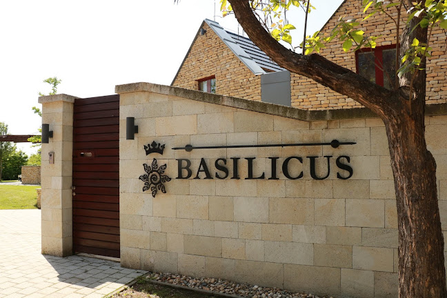Basilicus Borkultúra Központ - Tarcal
