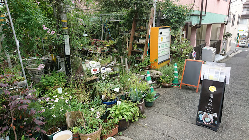 Flower Plants Cafe Jiyugaoka