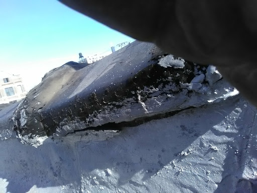 Florist «Jazmin Flowers & Balloons», reviews and photos, 1414 W 18th St, Chicago, IL 60608, USA