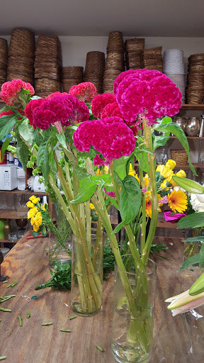 Florist «Floral Dimensions», reviews and photos, 3401 University Dr, Durham, NC 27707, USA