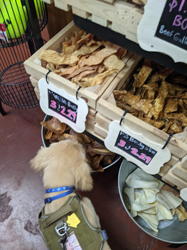 Pet Store «Pet Wize», reviews and photos, 11401 N 56th St, Tampa, FL 33617, USA