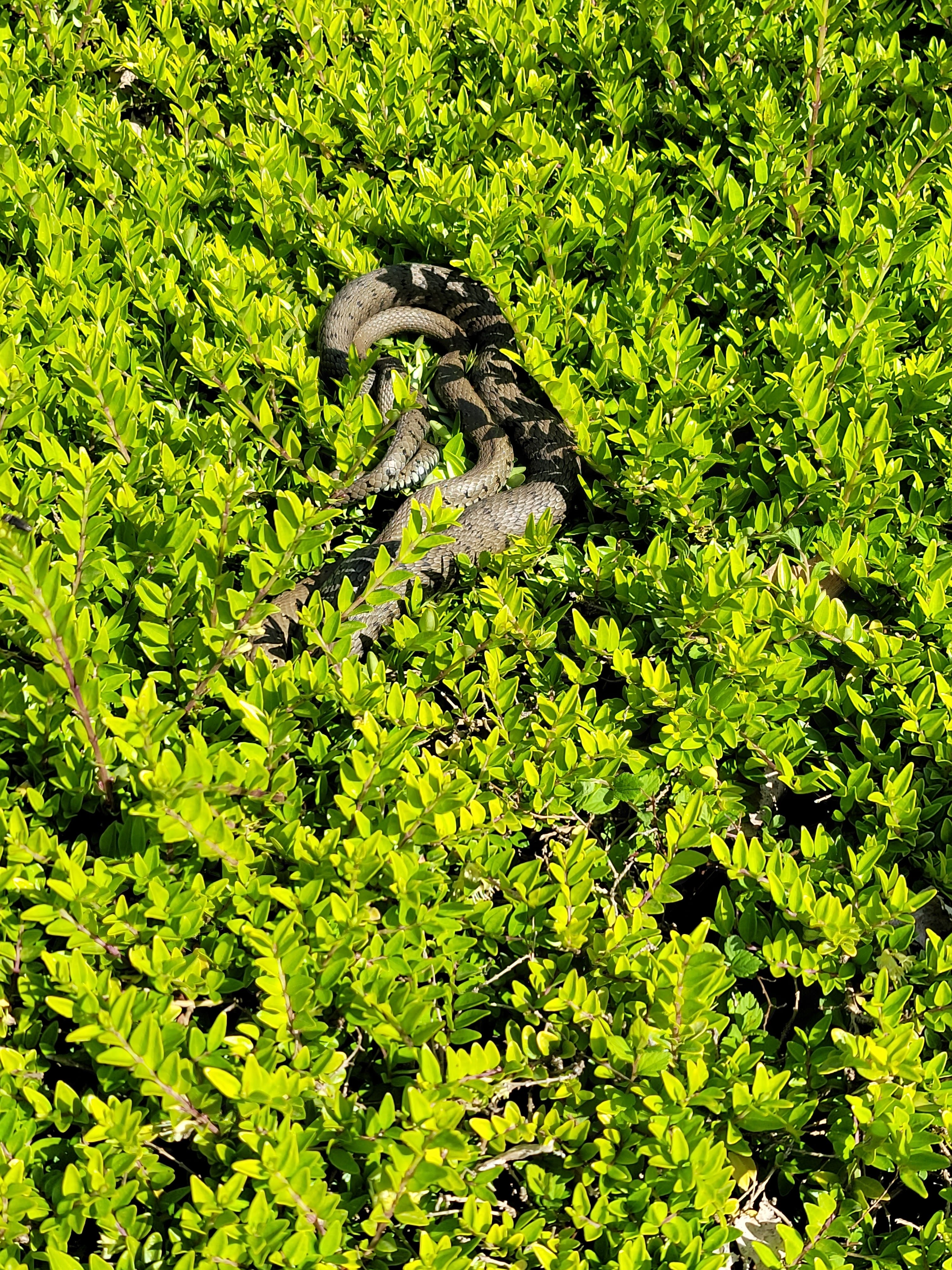 Photo n° 1 de l'avis de the.i fait le 21/05/2022 à 05:41