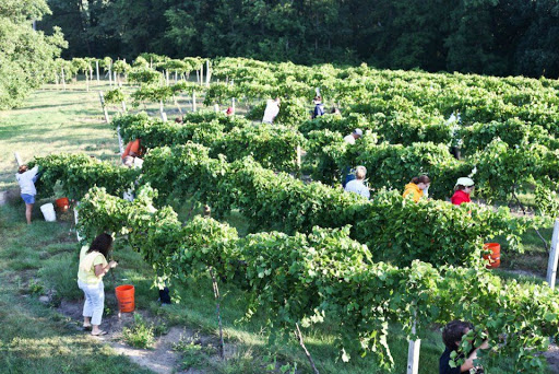 Winery «Summerset Winery», reviews and photos, 15101 Fairfax St, Indianola, IA 50125, USA