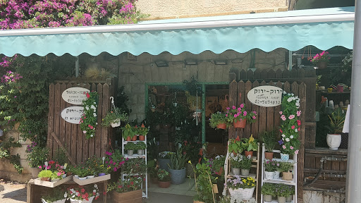 ירוק ירוק חנויות פרחים