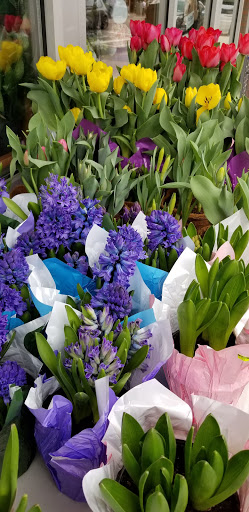 Grocery Store «Foodtown of Bay Ridge», reviews and photos, 9105-27 3rd Ave, Brooklyn, NY 11209, USA