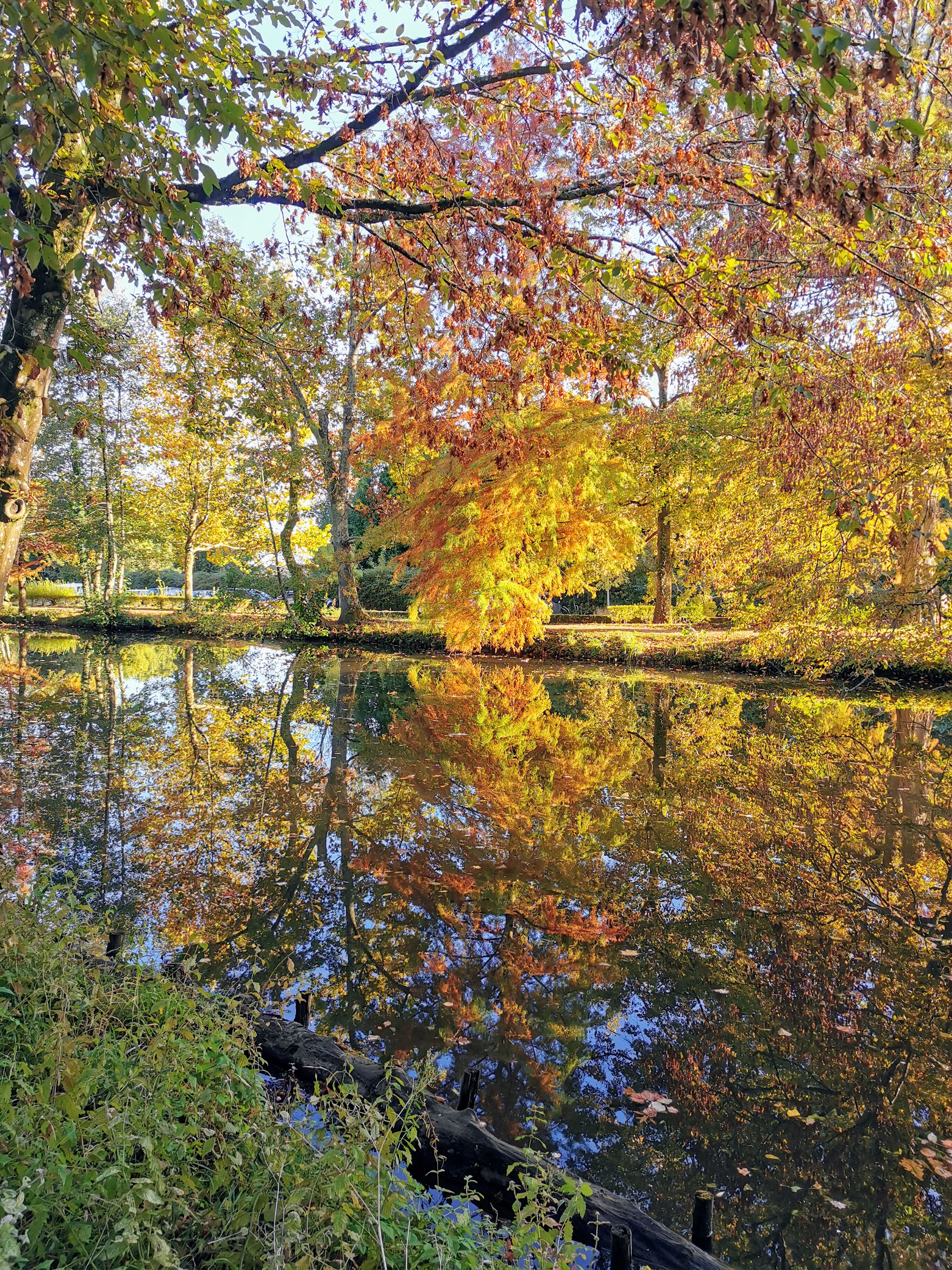 Photo n° 3 de l'avis de Alexandre.l fait le 27/10/2021 à 18:59