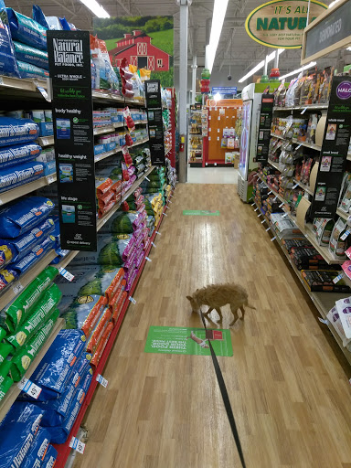 Pet Supply Store «Petco Animal Supplies», reviews and photos, 5481 Lone Tree Way, Brentwood, CA 94513, USA