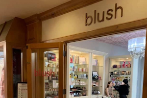 Blush Beauty, Inc. image