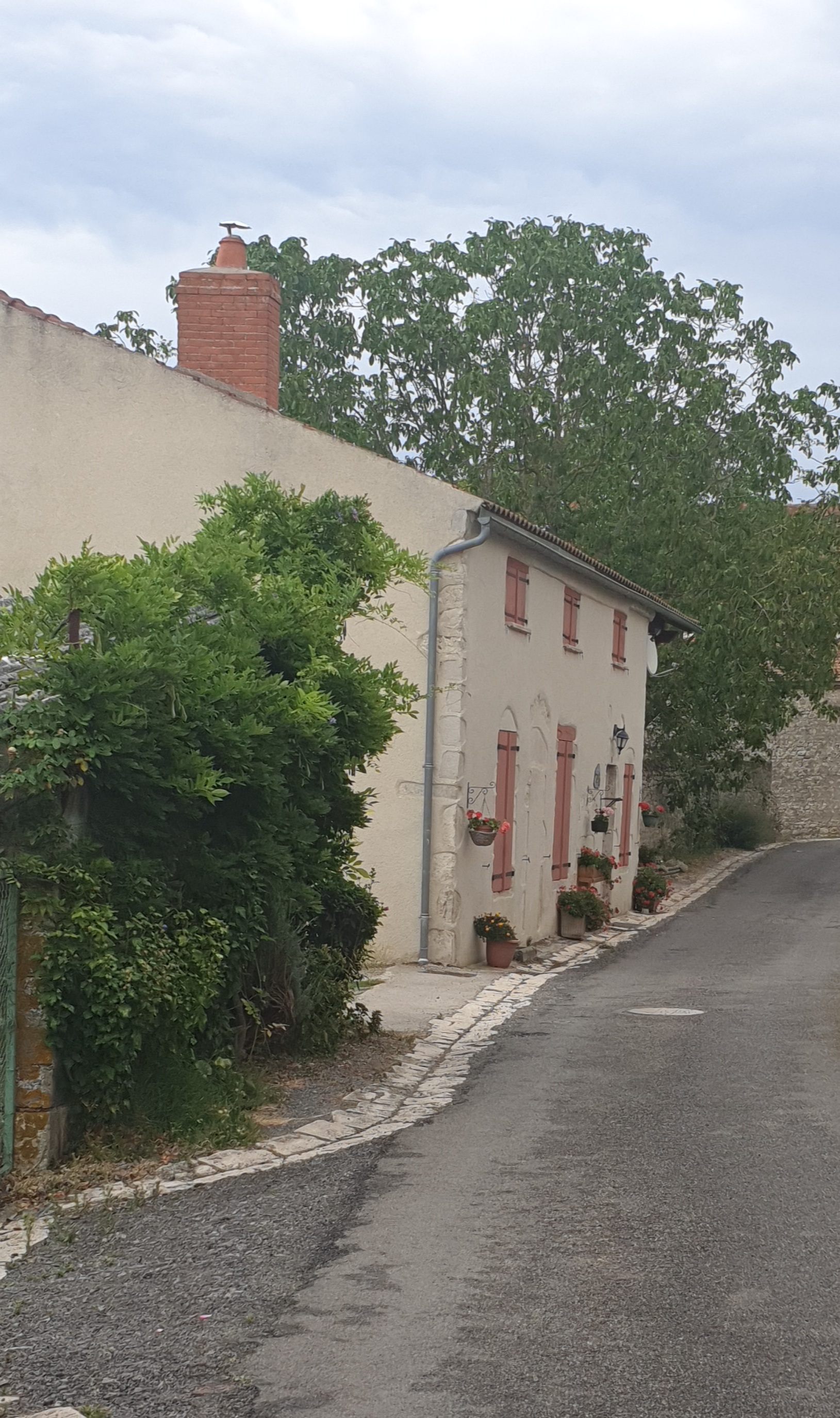 Photo n° 3 de l'avis de Miguel.a fait le 09/08/2020 à 16:32