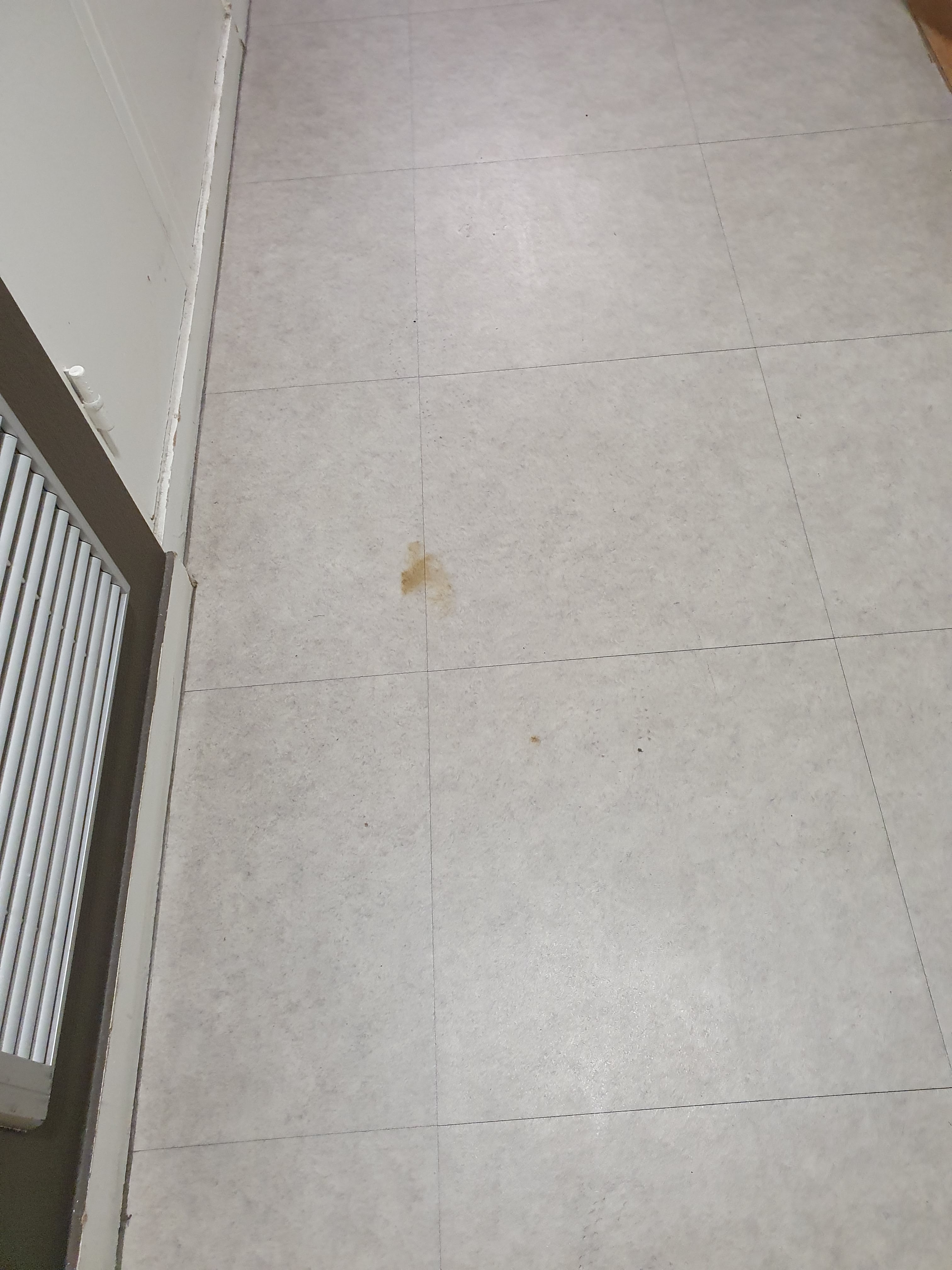 Photo n° 1 de l'avis de Maxime.u fait le 15/08/2020 à 10:25