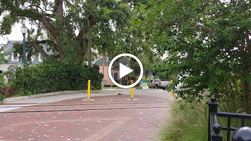 Restaurant «Pisces Rising», reviews and photos, 239 W 4th Ave, Mt Dora, FL 32757, USA