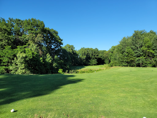 Golf Course «Diamond Springs Golf Course», reviews and photos, 3400 34th St, Hamilton, MI 49419, USA