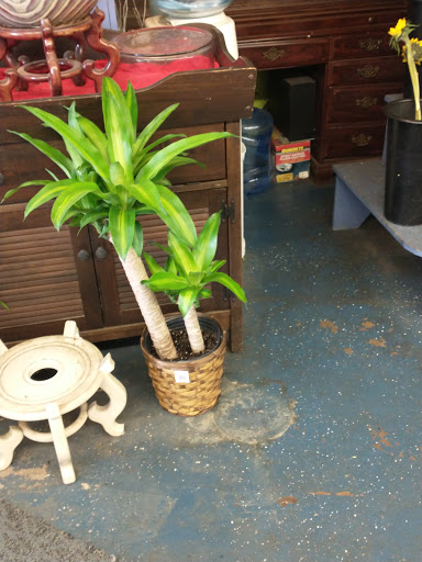 Florist «Tappan Zee Florist», reviews and photos, 176 Main St, Nyack, NY 10960, USA