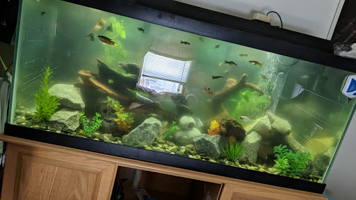 Pet Supply Store «Friend Lee Pets», reviews and photos, 40 Concord Rd, Lee, NH 03861, USA