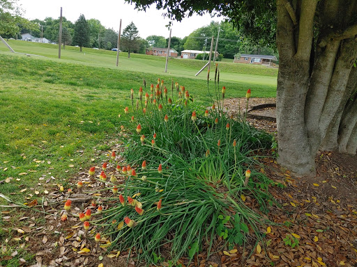 Golf Course «Pine Oaks Golf Course», reviews and photos, 1709 Buffalo Rd, Johnson City, TN 37604, USA