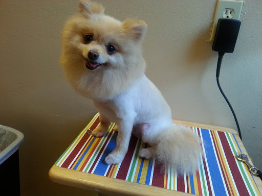 Pet Supply Store «McFaith Feed & Pet Supplies», reviews and photos, 4702 Paris Ave, New Orleans, LA 70122, USA