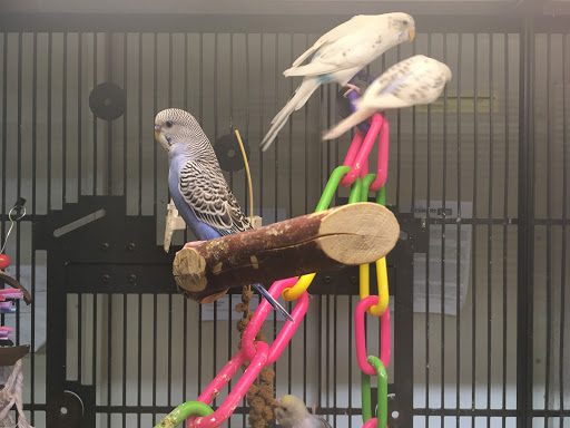 Pet Supply Store «PetSmart», reviews and photos, 2540 Cumberland Blvd SE, Smyrna, GA 30080, USA