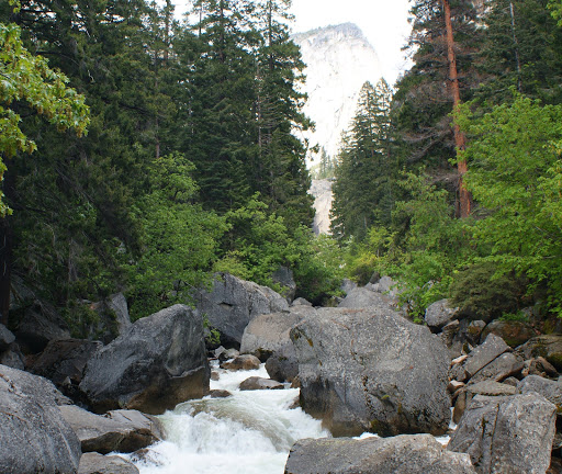 Yosemite Private Tours