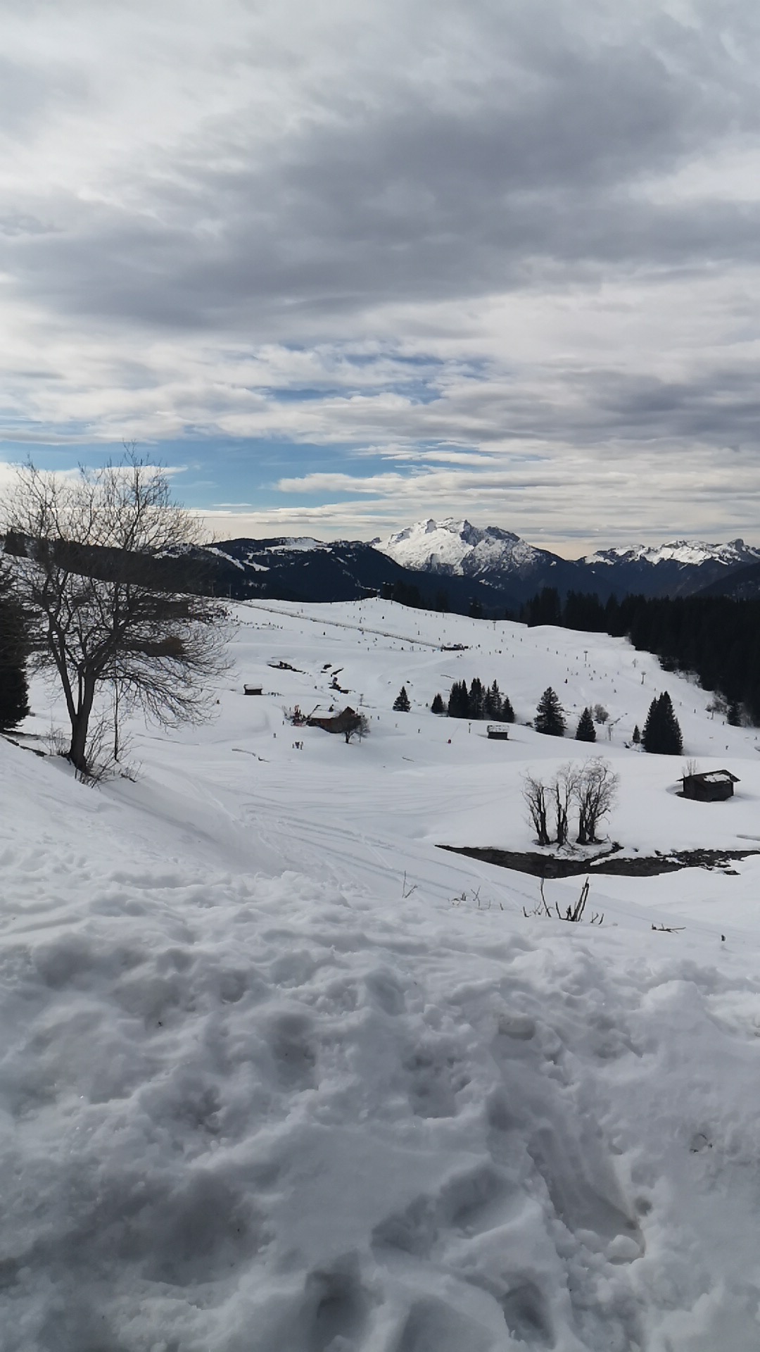 Photo n° 1 de l'avis de ZoptiK. fait le 16/02/2020 à 11:09