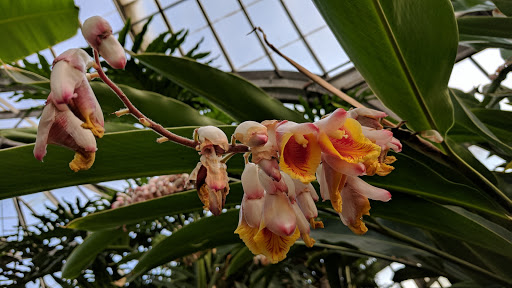 Museum «Dossin Great Lakes Museum», reviews and photos, 100 The Strand, Detroit, MI 48207, USA