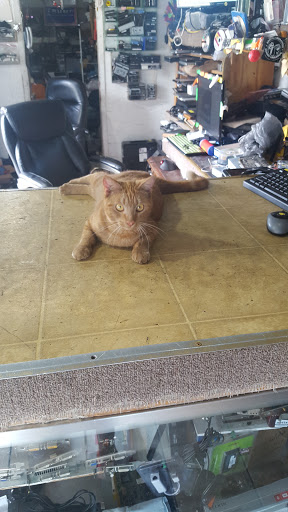 Computer Repair Service «Mark Skelly Computers», reviews and photos, 4007 Flamingo Dr, New Port Richey, FL 34652, USA