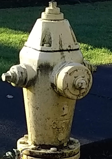 Museum «Deepwood Museum & Gardens», reviews and photos, 1116 Mission St SE, Salem, OR 97302, USA