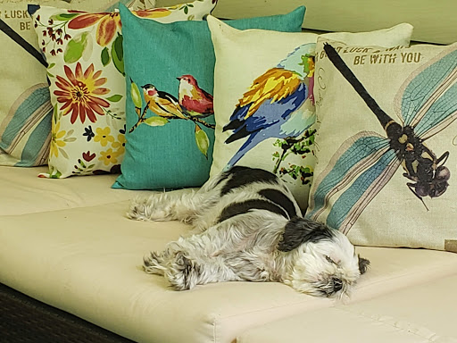 Pet Store «Liberty Agway Pet Center», reviews and photos, 11 Bon Jovi Ln, Liberty, NY 12754, USA