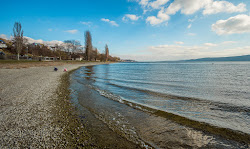 Photo de Naturbadestrand Sipplingen zone des équipements