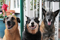 Planet Doggy - Photo 5 - Car repair in Pasadena, CA, Glendale