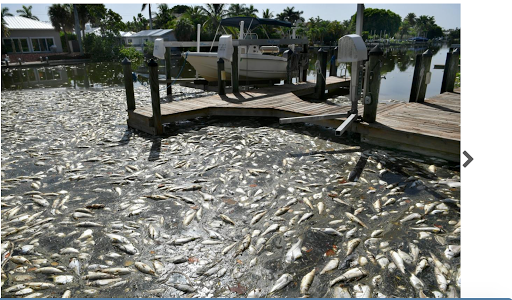 Attorney «Sherry Ellis Law, PLLC», reviews and photos