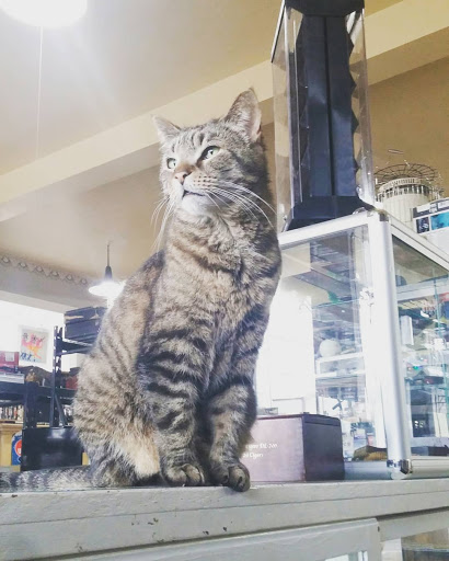 Pawn Shop «Marquette County Pawn & Estate Sales», reviews and photos, 212 Cleveland Ave, Ishpeming, MI 49849, USA