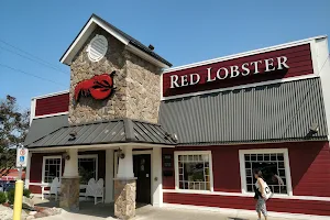 Red Lobster image