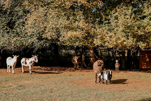 attractions SOS Animaux de la Ferme Pédagogique Excenevex