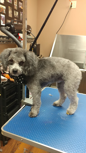 Pet Store «Pet Valu», reviews and photos, 2645 Shillington Rd, Sinking Spring, PA 19608, USA