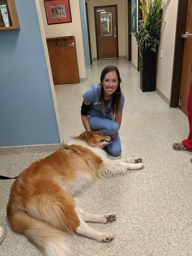 La Grange Veterinary Hospital image