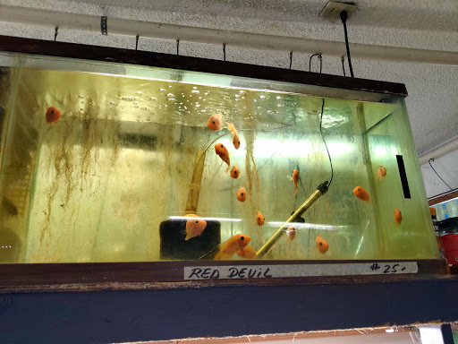 Gift Shop «Asia Gifts & Aquarium», reviews and photos, 763 S 38th St, Tacoma, WA 98418, USA