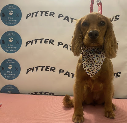 Pitter Patter Paws EK