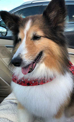 Pet Supply Store «Petco Animal Supplies», reviews and photos, 7590 150th St W, Apple Valley, MN 55124, USA