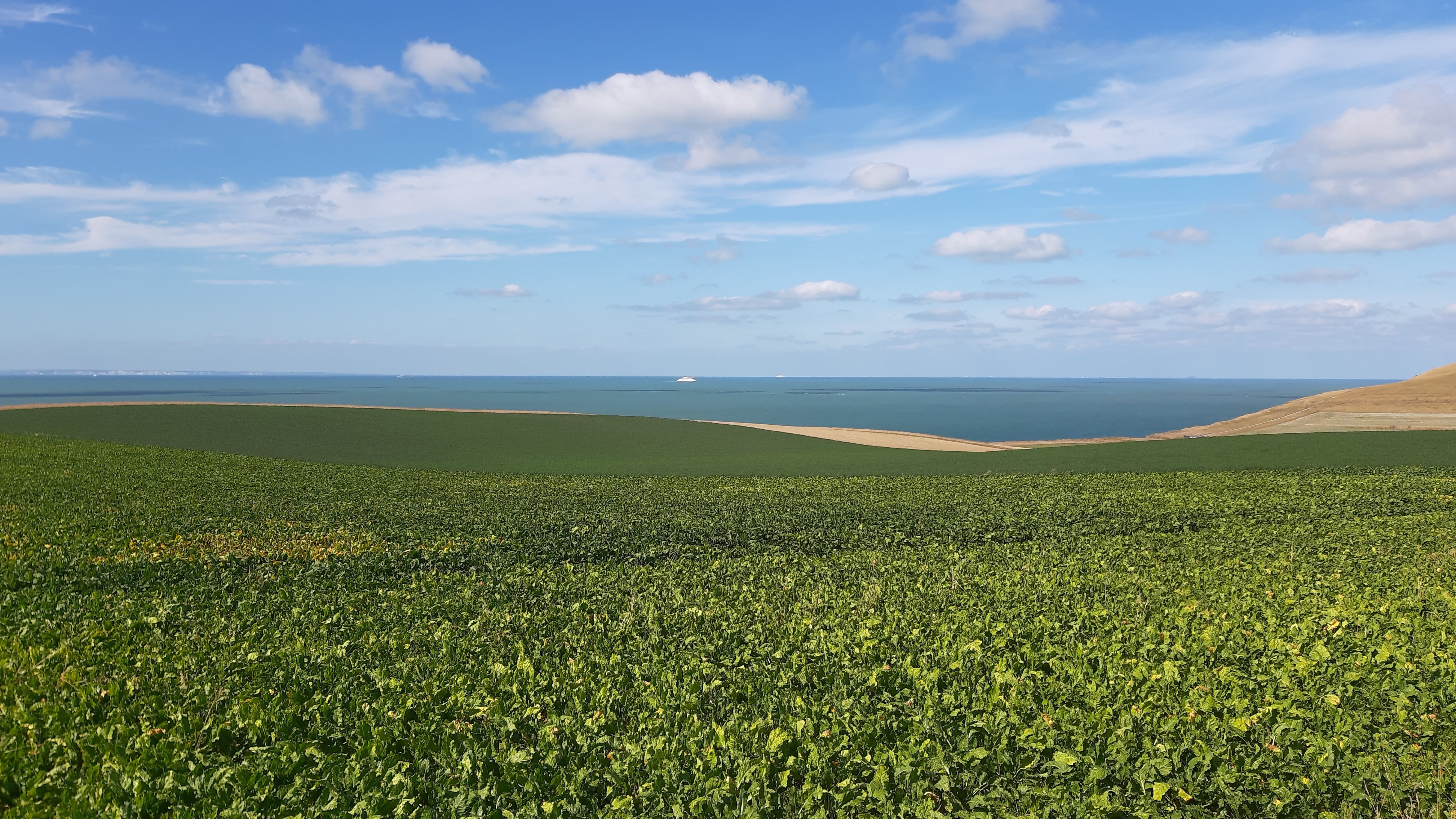Photo n° 4 de l'avis de Jacques.M fait le 17/09/2019 à 18:38
